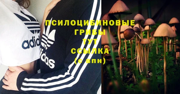 ешки Армянск
