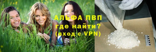 стафф Арсеньев